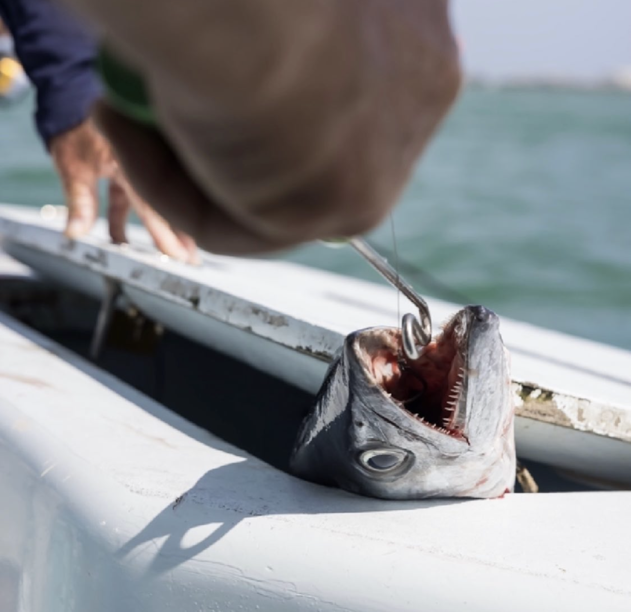 Large Fish Dehooker