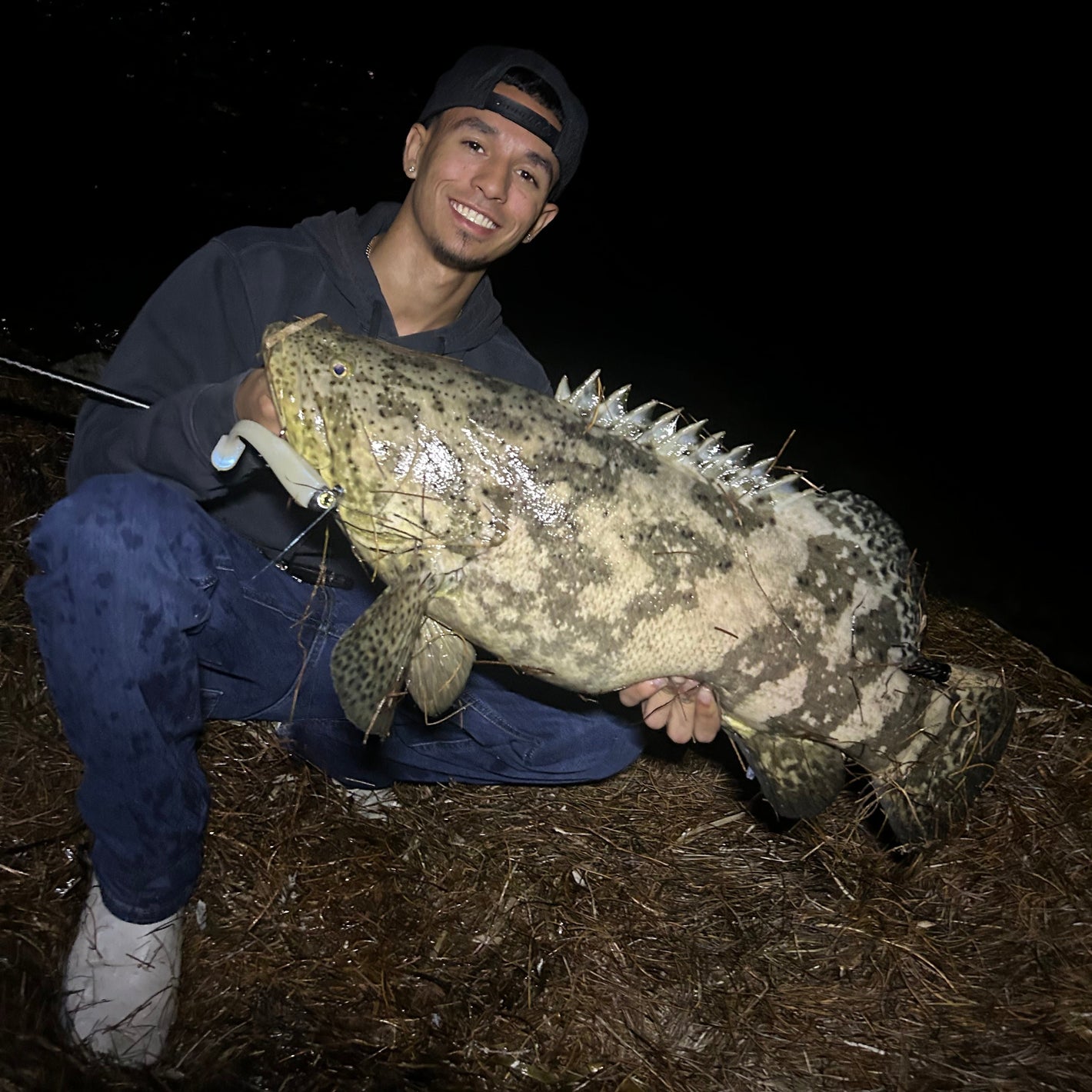 goliath grouper swimbait fishing in the florida keys