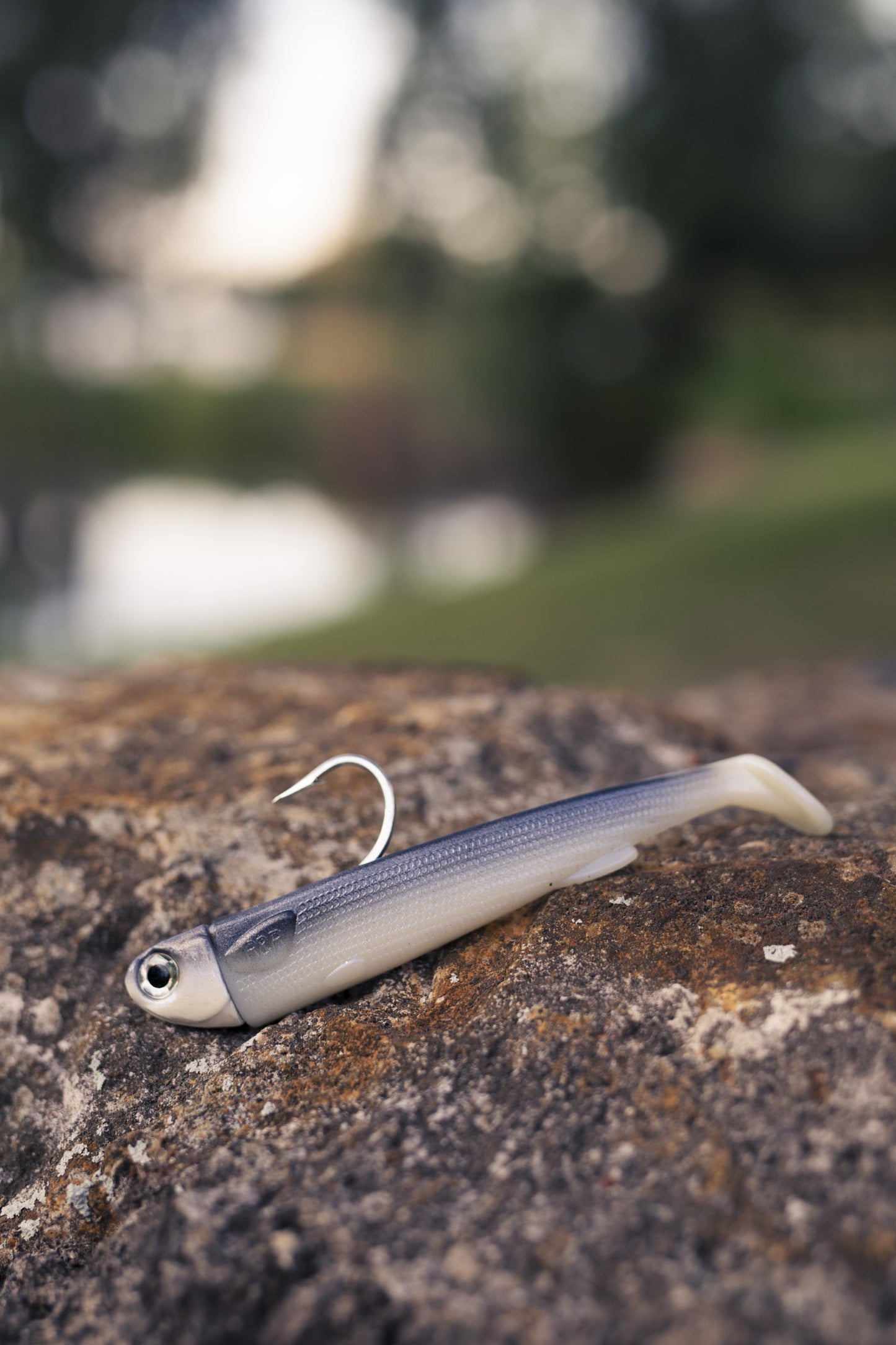 Pre Rigged Slide Baits (1pk) – R&R Tackle Co.